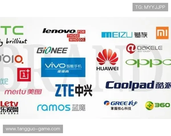 乐天国际：如何在全球市场中实现品牌的突破与创新