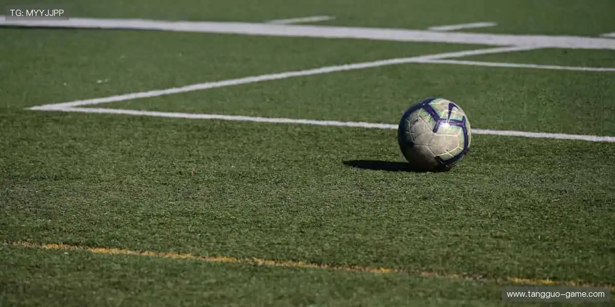 🎥 超清画质,让你不错过每一个精彩瞬间!🎬